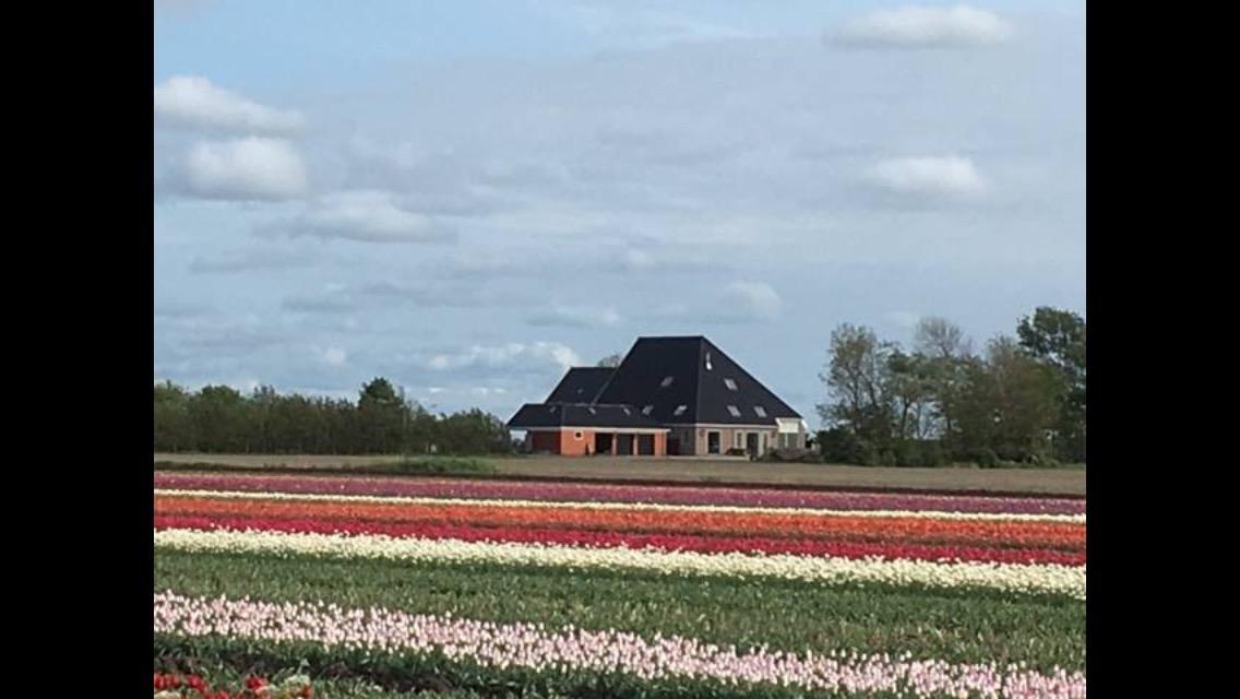 Boerderij De Waard Anna Paulowna Exterior foto